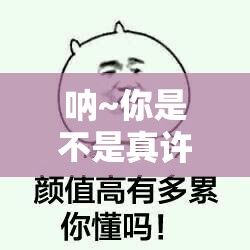 呐~你是不是真许了让自己变“傻”的愿望？揭秘澳门背后的智慧与选择