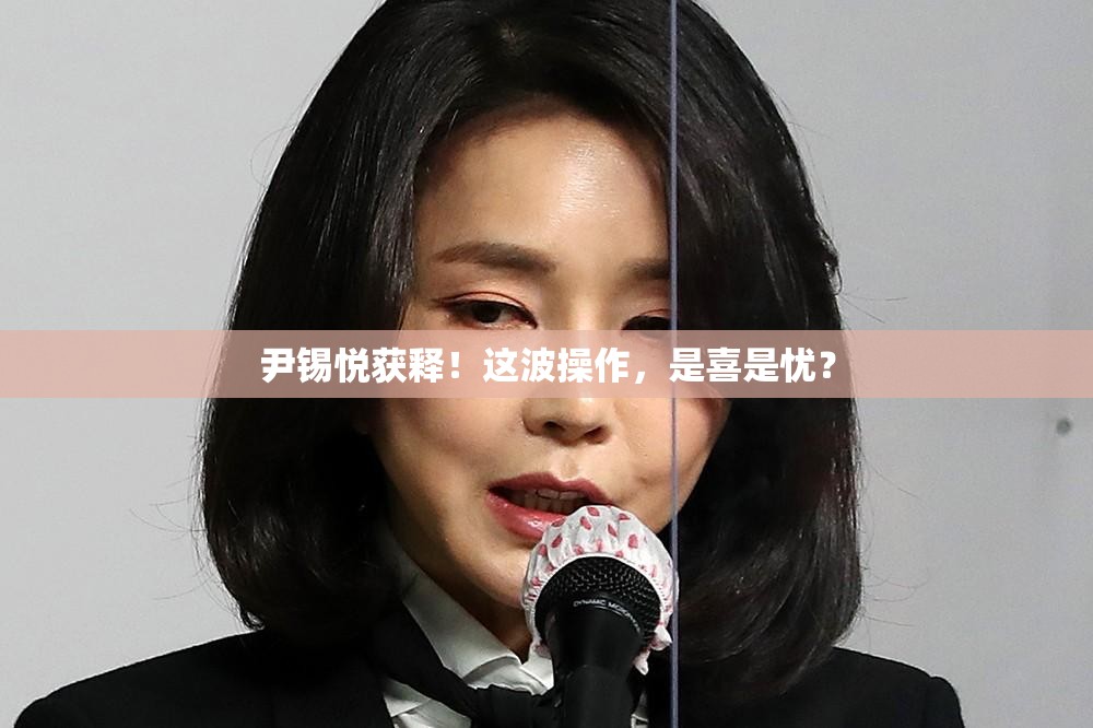 尹锡悦获释