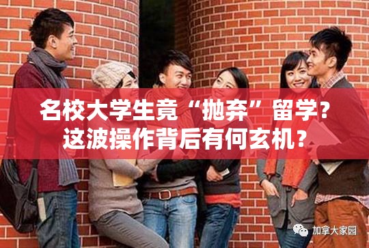 名校大学生抛弃留学