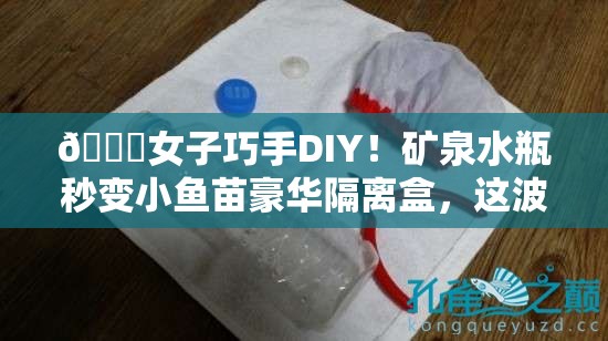 🚀女子巧手DIY！矿泉水瓶秒变小鱼苗豪华隔离盒，这波操作绝了！