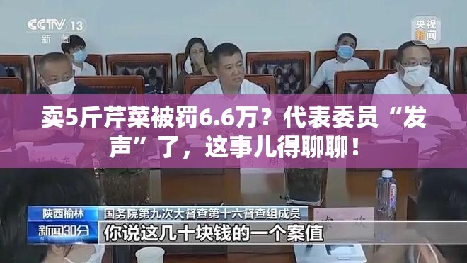 卖5斤芹菜被罚6.6万？代表委员“发声”了，这事儿得聊聊！