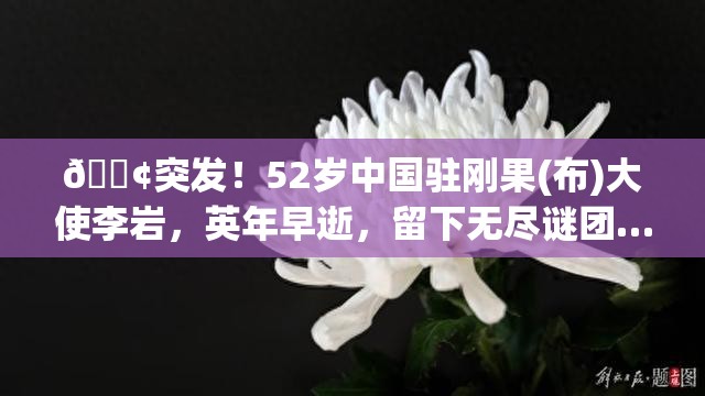 😢突发！52岁中国驻刚果(布)大使李岩，英年早逝，留下无尽谜团……