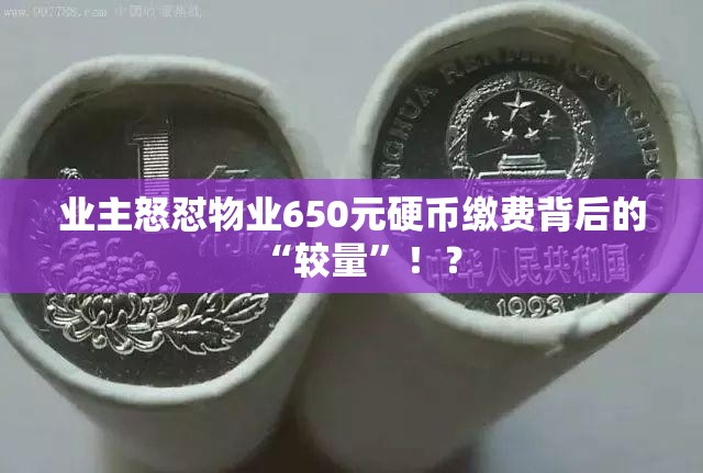 业主因不满物业用650元硬币缴费