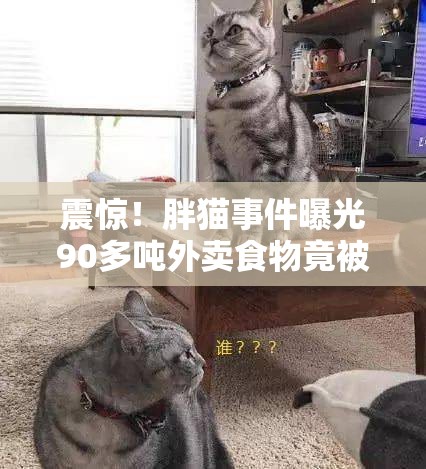 震惊！胖猫事件曝光90多吨外卖食物竟被无情浪费？！背后真相令人咋舌！