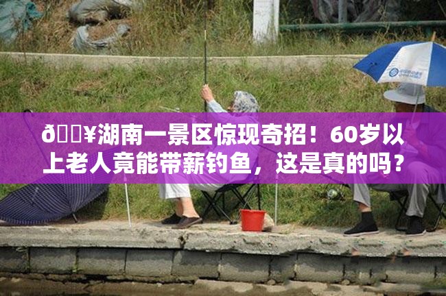 🔥湖南一景区惊现奇招！60岁以上老人竟能带薪钓鱼，这是真的吗？🎣