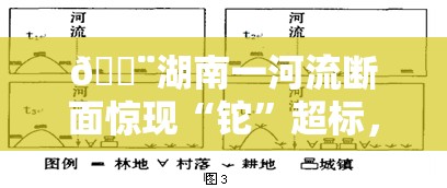 🚨湖南一河流断面惊现“铊”超标，环保警钟再次敲响？🚨